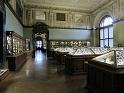 Wien (354)